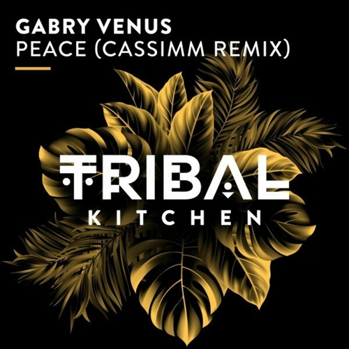 Gabry Venus - Peace (CASSIMM Remix) [TK315]